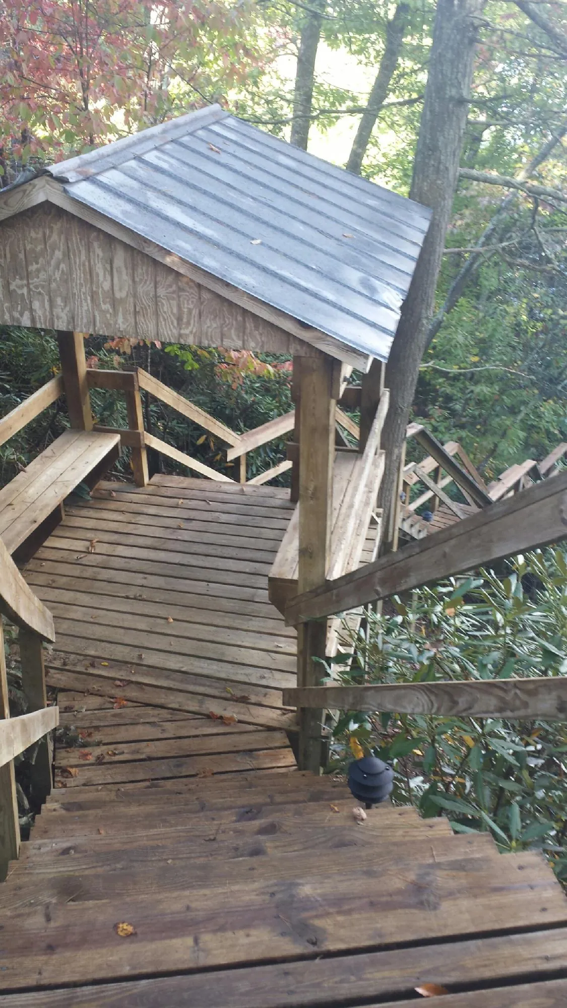 Metal roofed shelter over wooden steps on a wooded walkway in Watsonville